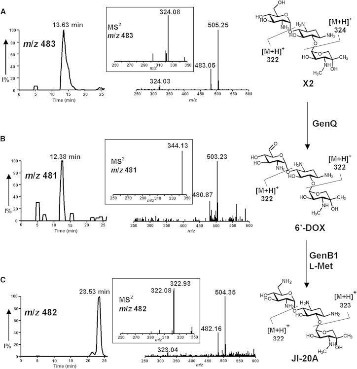 Figure 5