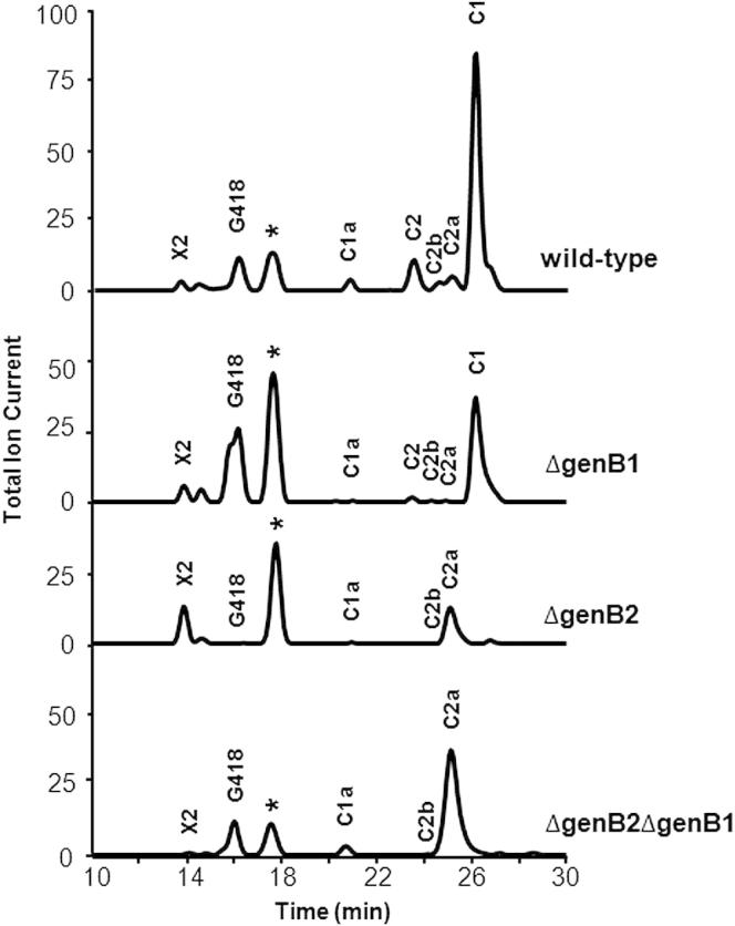 Figure 3