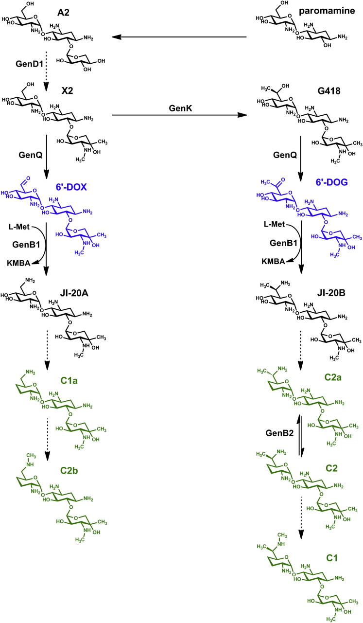 Figure 1