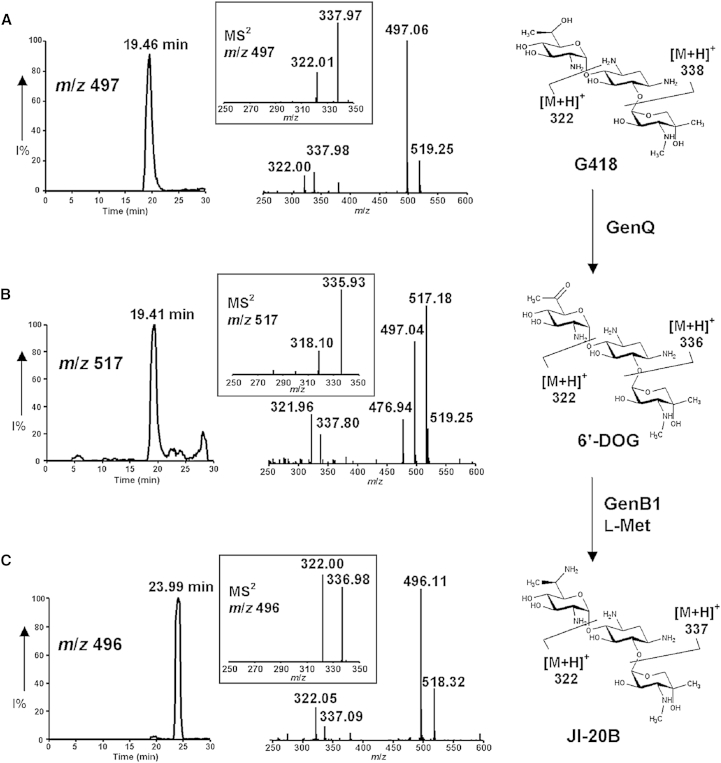 Figure 4