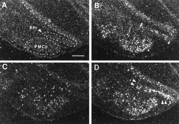 Fig. 8.