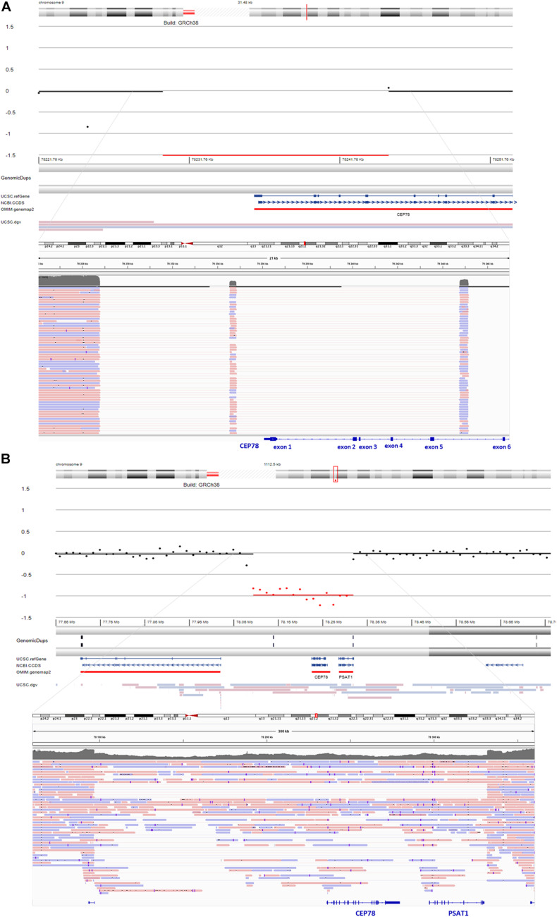 FIGURE 2