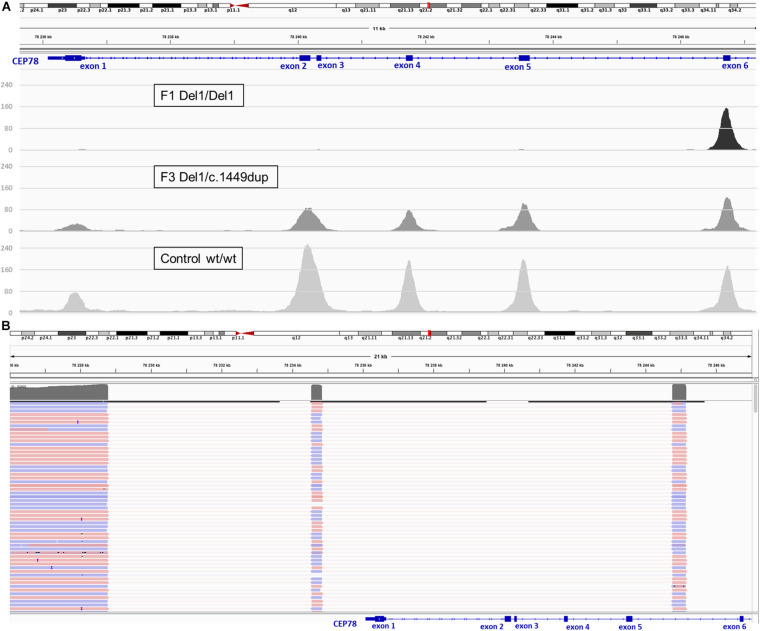 FIGURE 3