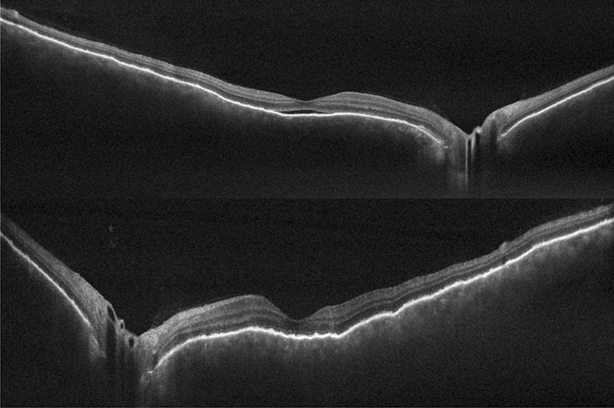 Fig. 7