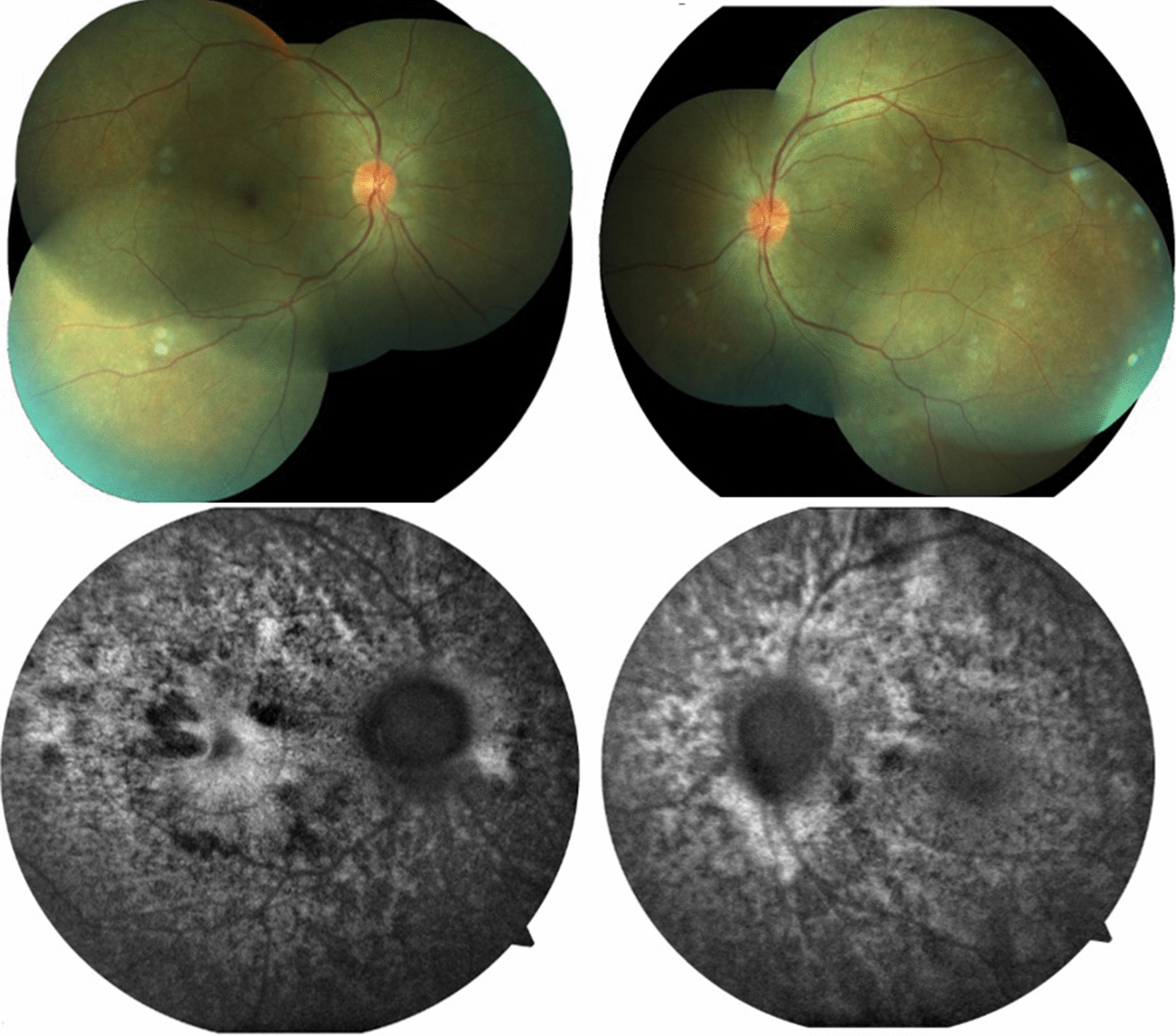 Fig. 8