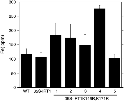 Figure 5.