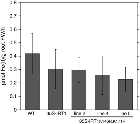 Figure 6.