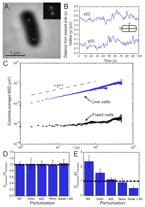 FIG. 1