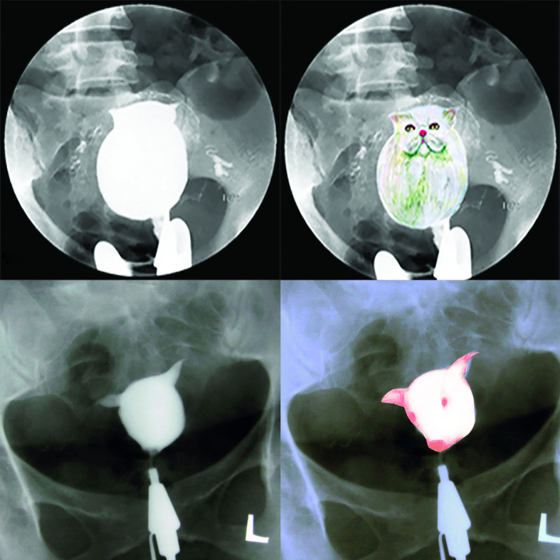 Figure 6.