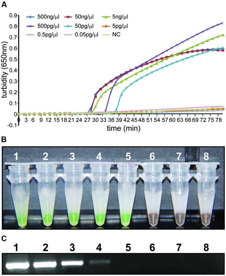 FIGURE 4