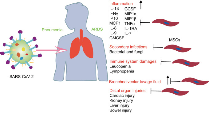 Figure 3