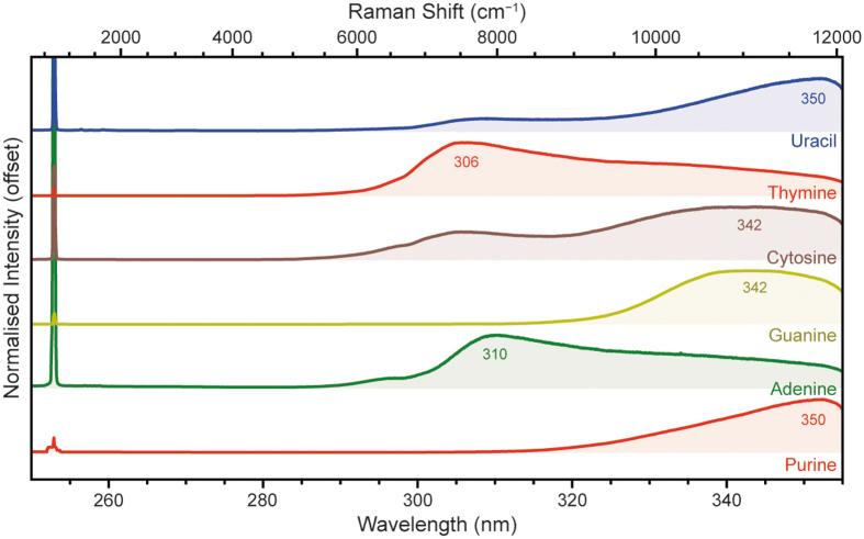 FIG. 10.