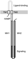 Fig. 1.