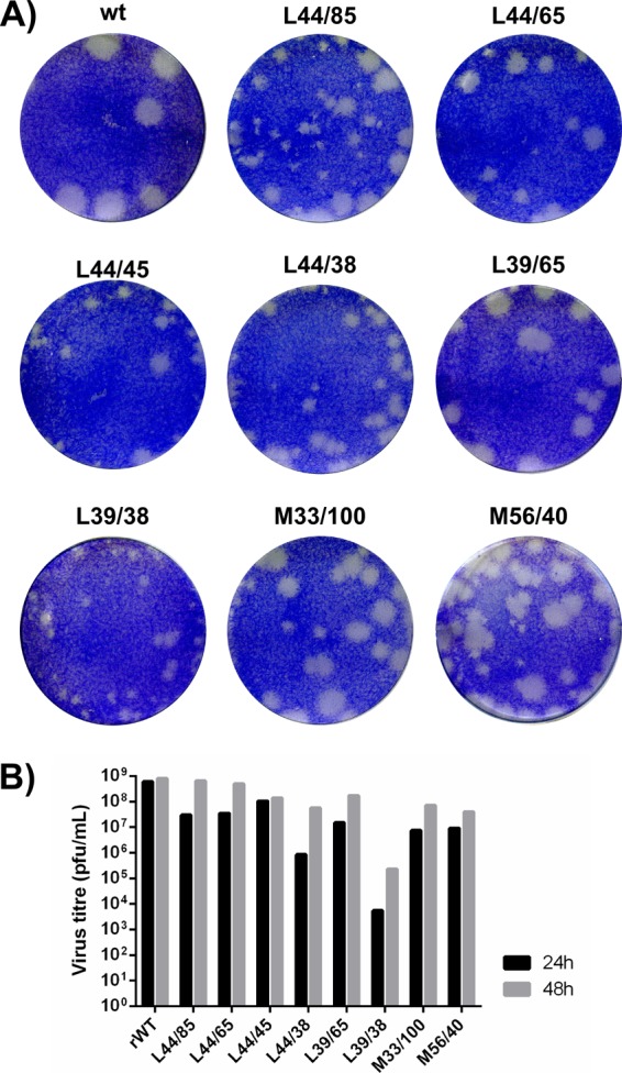 Fig 2