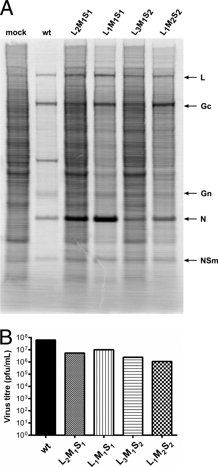 Fig 5