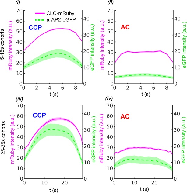 Figure 3—figure supplement 2.