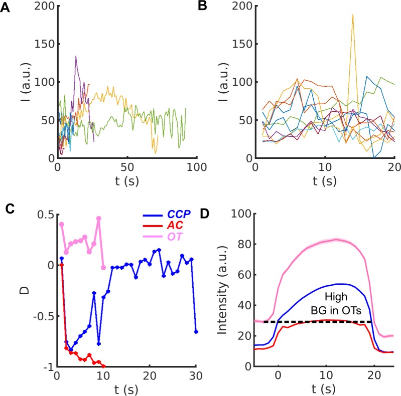 Figure 1—figure supplement 1.