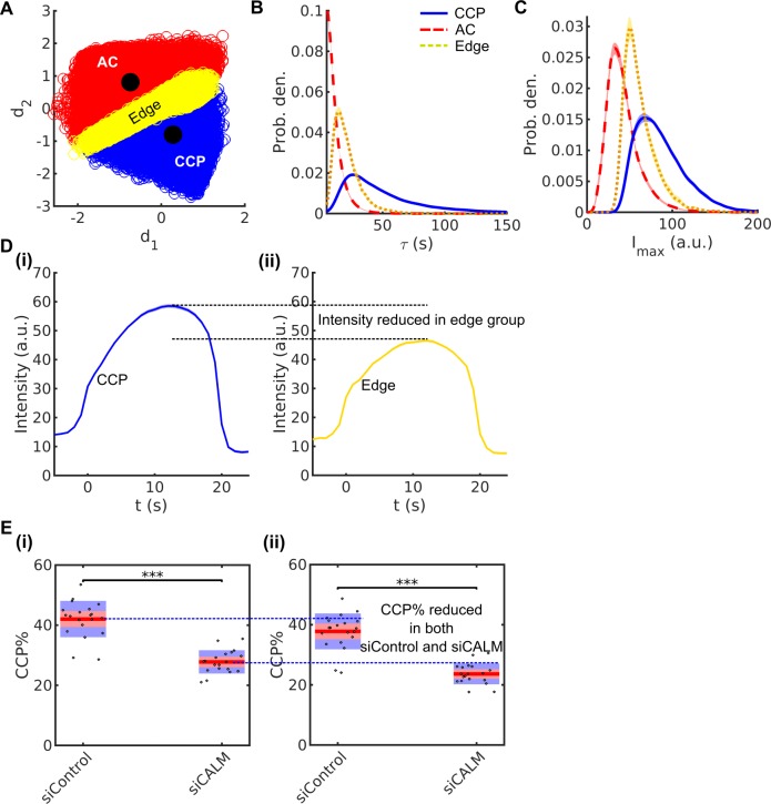 Figure 2—figure supplement 2.