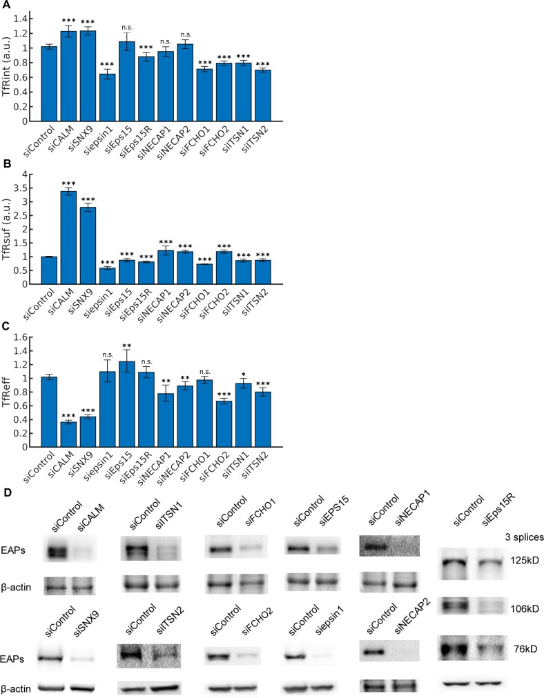 Figure 4—figure supplement 1.