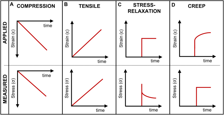 Fig. 4