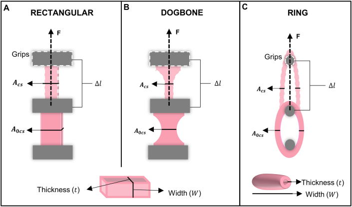 Fig. 6