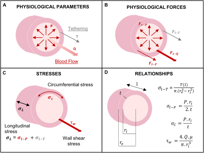 Fig. 2