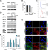 FIG 13