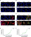 FIG 4