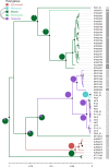 FIG 3