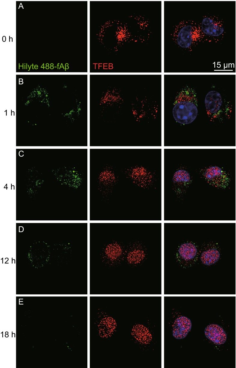 Figure 2