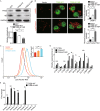 Figure 6