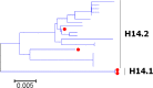 Fig. 13