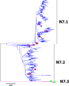 Fig. 24
