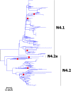 Fig. 19