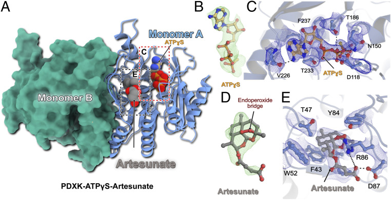 Fig. 2.