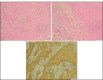Figure 3: