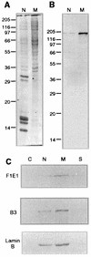 FIG. 6
