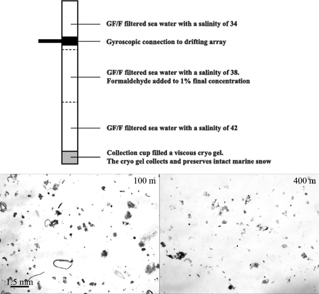 FIG 2