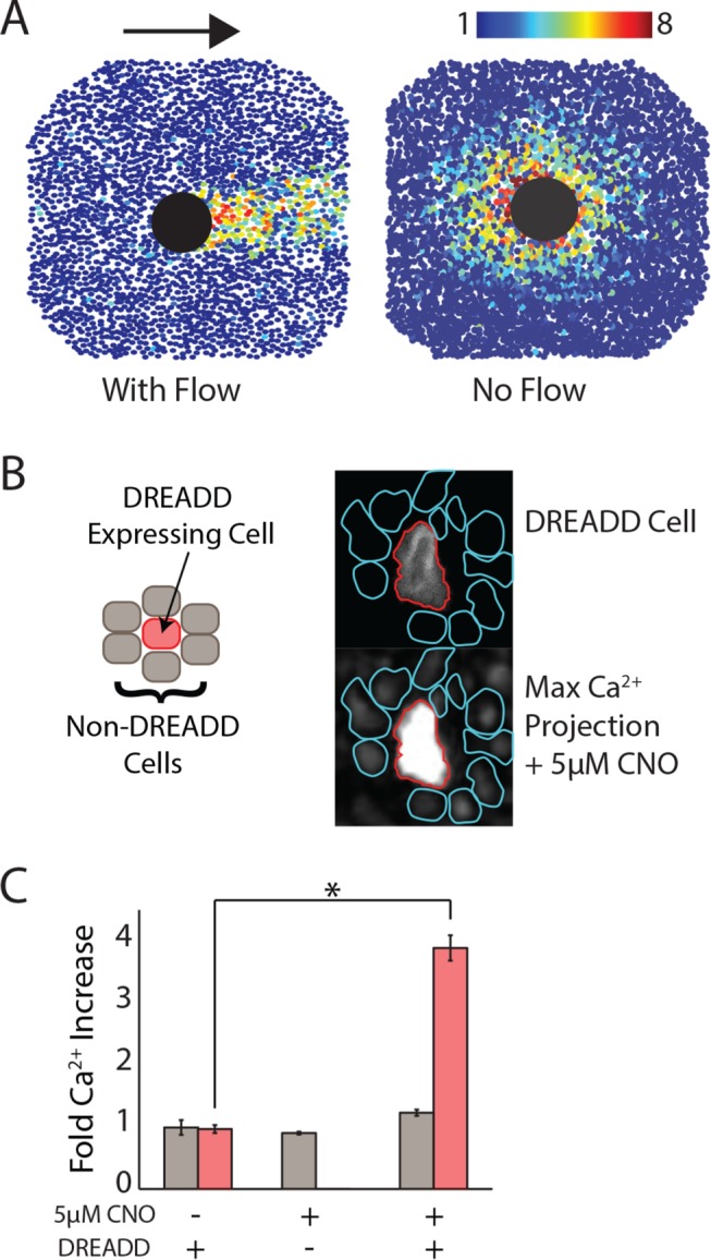 FIGURE 4: