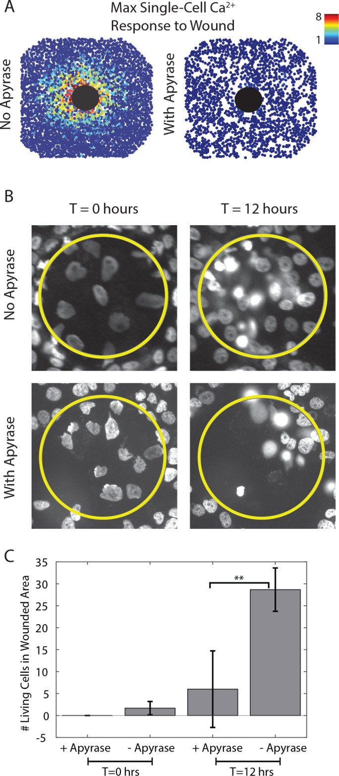 FIGURE 3: