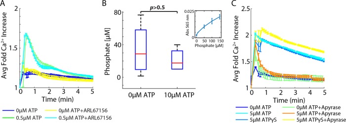 FIGURE 5: