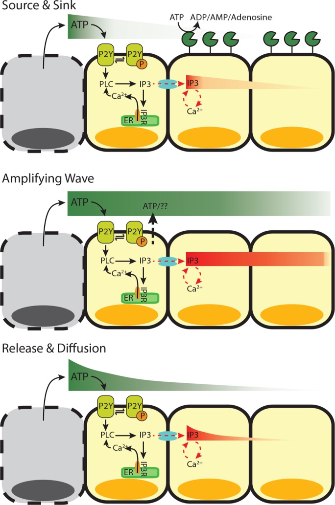 FIGURE 1: