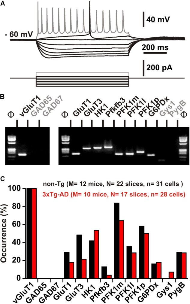 FIGURE 6