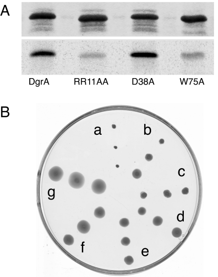 Fig. 5.