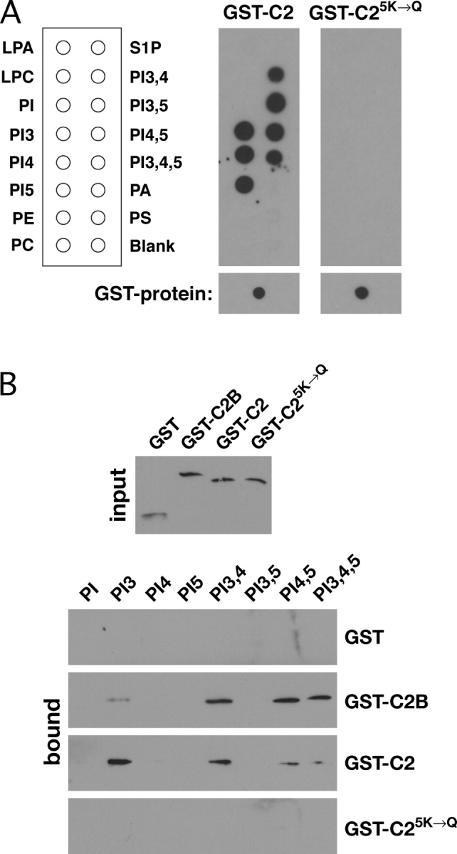 Figure 5.