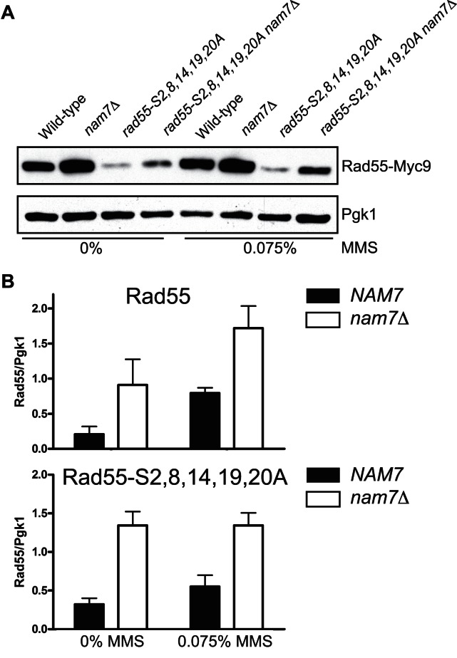 Figure 4.