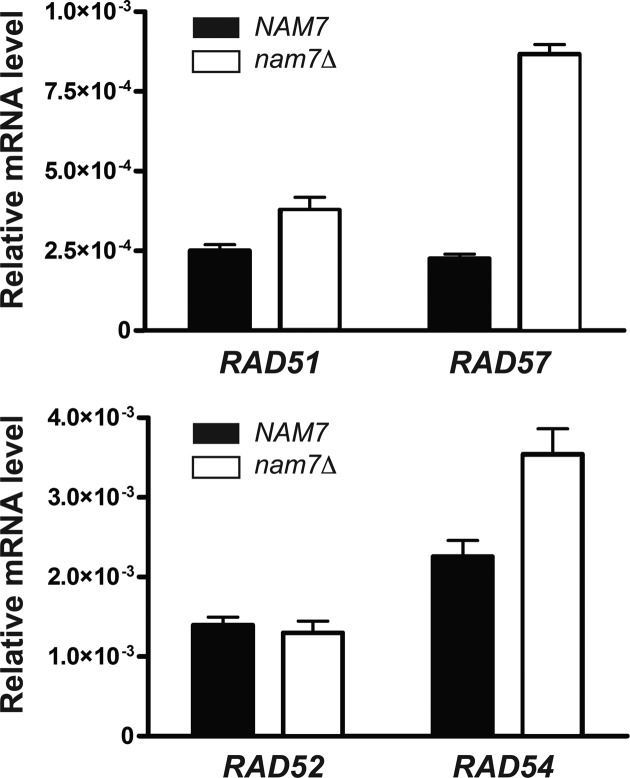 Figure 6.