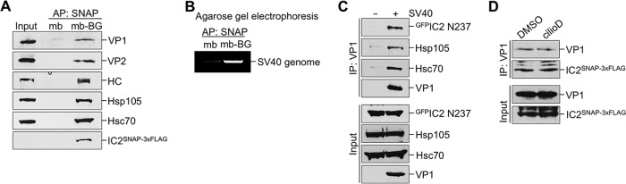 FIG 4