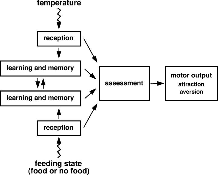 Figure 6.—