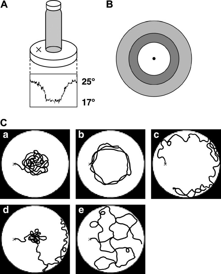 Figure 1.—